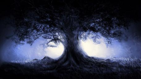 Dark forest wallpaper