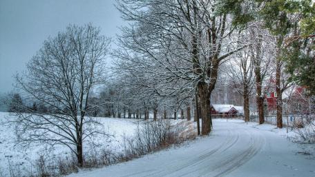Winter's Serenity in the Countryside wallpaper