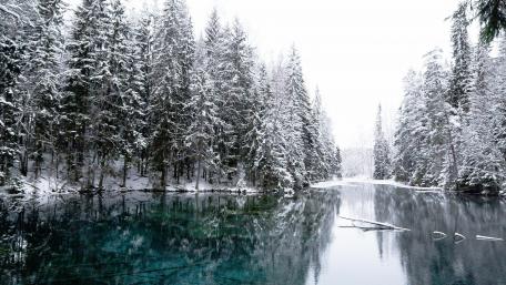 Winter Serenity by the Tranquil Lake wallpaper