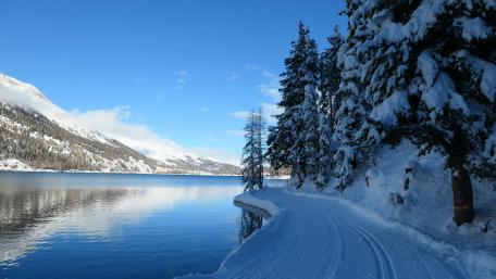 Snow covered Silvaplana path, Switzerland wallpaper