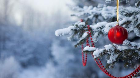 Winter Holiday Cheer wallpaper