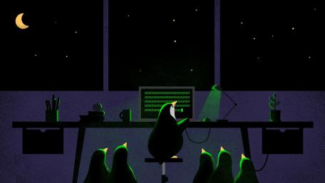 Penguin coder wallpaper