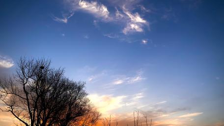 Sunset wallpaper