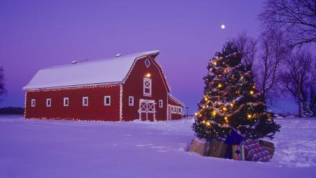 Rustic barn wallpaper