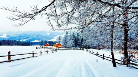 Winter Wonderland on a Snowy Farm Road wallpaper