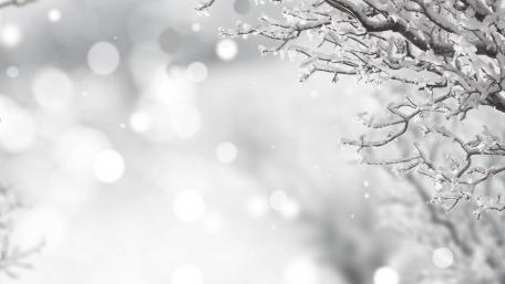 Winter Wonderland in Monochrome wallpaper