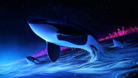 Orcas digital art wallpaper