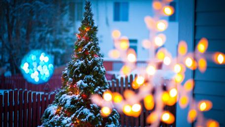 Magical Christmas Tree in Winter Wonderland wallpaper