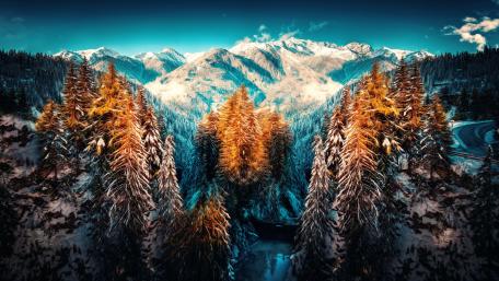 Majestic Winter Landscape with Larch Trees wallpaper