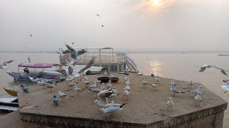 Early morning time to Ganga Ghat. wallpaper