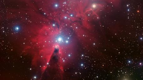 Cone Nebula (NGC 2264) and the Christmas Tree cluster wallpaper