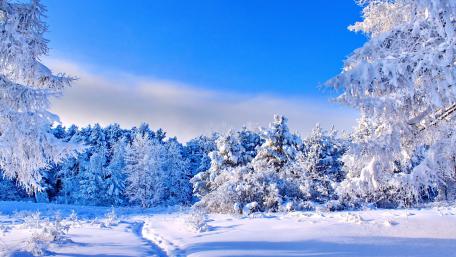 Winter Wonderland Under a Bright Blue Sky wallpaper