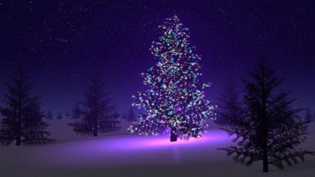 Twinkling Purple Hues in Nighttime Christmas wallpaper