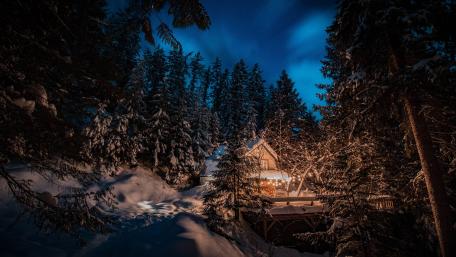 Winter Night Escape in Forest Cottage wallpaper