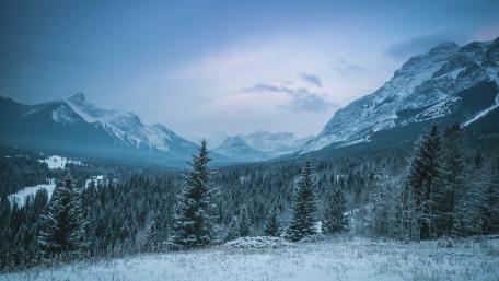 A Serene Winter Wonderland wallpaper