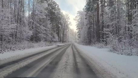 Winter's Serene Roadway Through Snowy Forest wallpaper