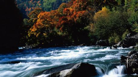 Serene Autumn River Flowing Through Colorful Forest wallpaper