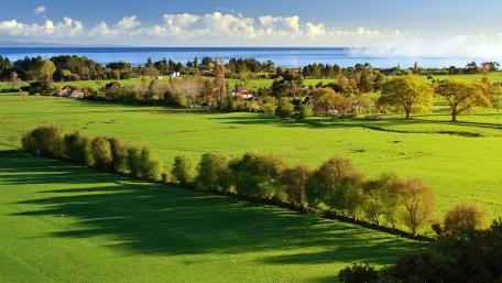 Lush Green Meadows Under Clear Skies wallpaper