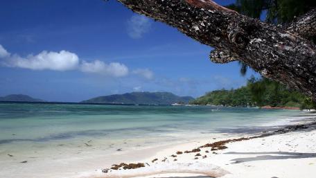 Tranquil Beachside Serenity wallpaper