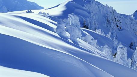 Serene Winter Wonderland in Blue wallpaper