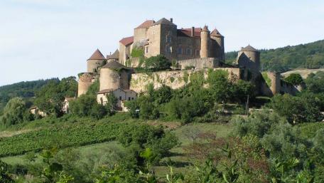Majestic Castle Surrounded by Lush Greenery wallpaper