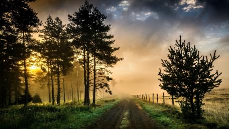 Serene Misty Morning in the Countryside wallpaper