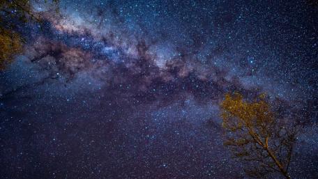 Majestic Milky Way Above Silent Trees wallpaper