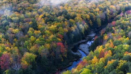 Carp river, Ottawa National Forest wallpaper