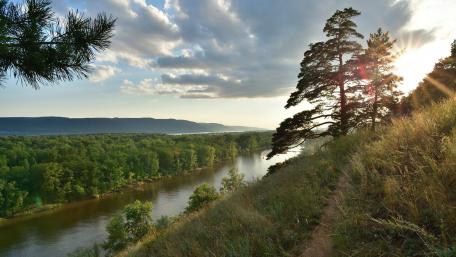 Serene Sunlight Over Riverbank Landscape wallpaper