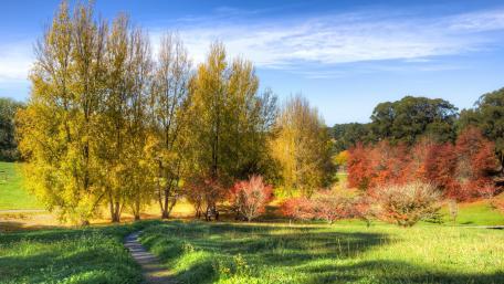 Golden Autumn Serenity in Nature's Embrace wallpaper