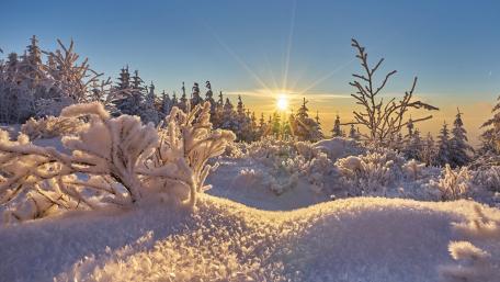 Winter Wonderland at Sunrise wallpaper