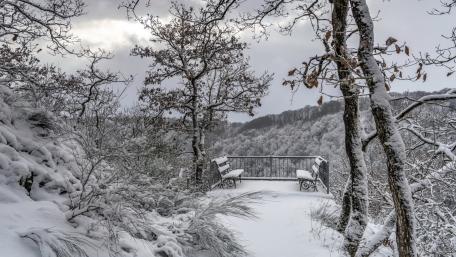 Serene Winter Bench in a Snowy Forest Scene wallpaper