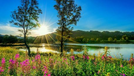 Sunlit Spring Lake wallpaper