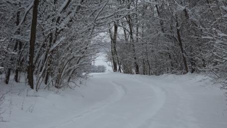 Winter landscape wallpaper