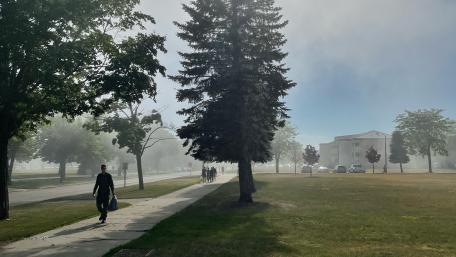 The foggy fall wallpaper