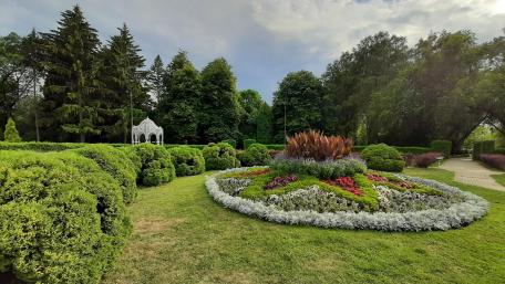 Vibrant Serenity in a Botanical Garden wallpaper