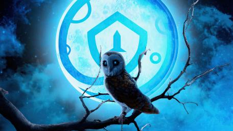 Safemoon wallpaper