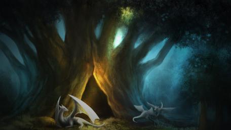 White Dragons in Enchanted Forest wallpaper