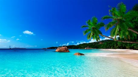 Tropical Paradise Under a Blue Sky wallpaper