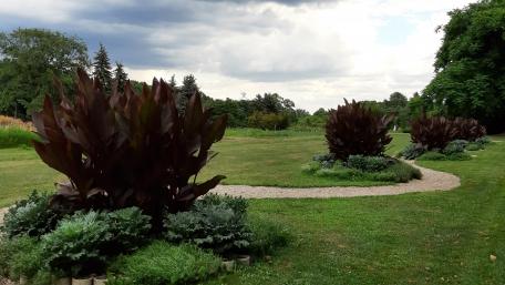 Lush Green Park Pathway With Vibrant Plants wallpaper
