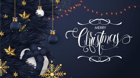 Elegant Christmas Celebration Wallpaper for Festive Cheer wallpaper