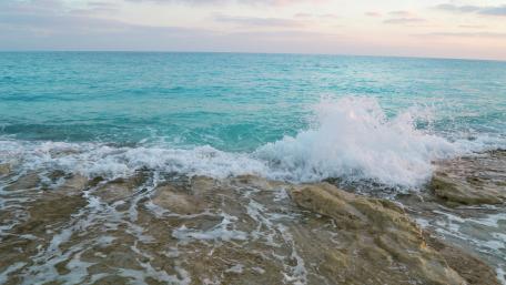 The wonderful sea wallpaper