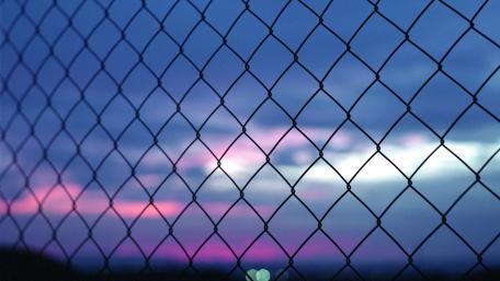 Serene Dusk Through a Wire Mesh Fence wallpaper