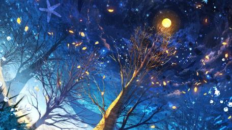 Enchanted Anime Night Sky wallpaper