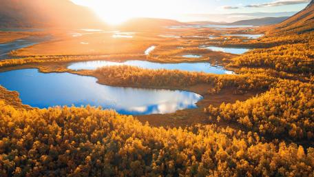 Sunrise In Swedish Lapland wallpaper