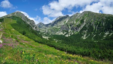 Serene Mountain Valley Landscape wallpaper