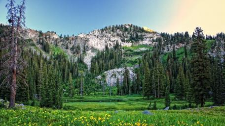 Majestic Mountain Landscape with Larch Trees wallpaper