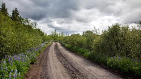 Serene Dirt Road Under Cloudy Skies wallpaper