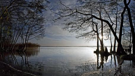 Tranquil Lake at Dusk with Silhouetted Trees wallpaper