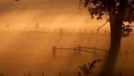 Misty Morning Serenity in Nature wallpaper